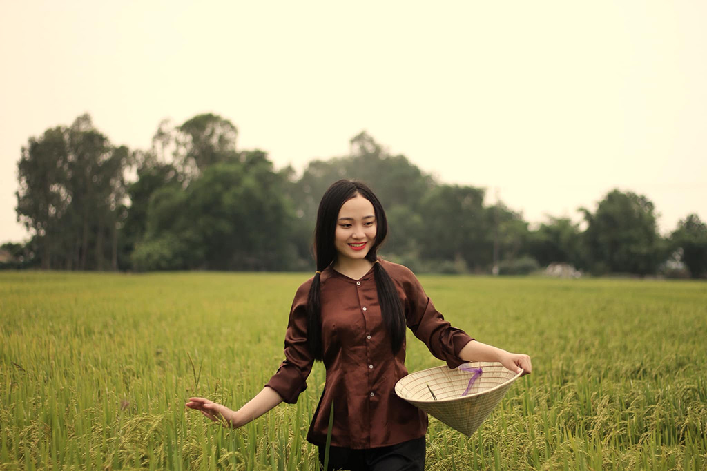 15 Bài Thơ Về Cây Lúa Việt Nam Gắn Liền Với Người Nông Dân